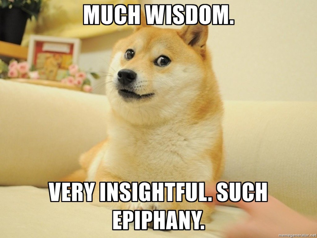 doge meme very insightful developer strengths joke