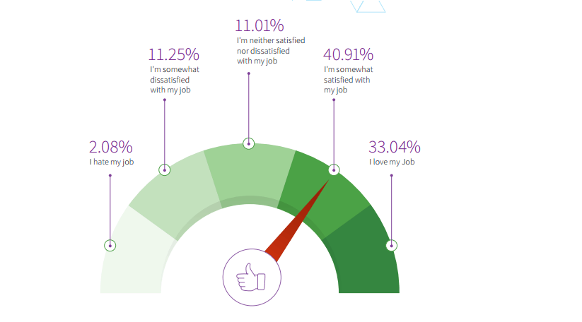 developers job satisfaction