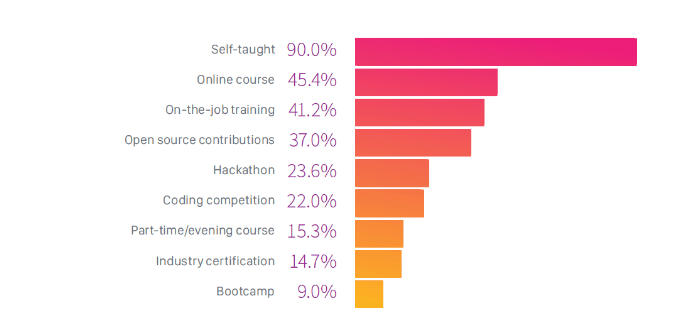 self taught developers