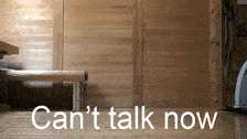 gif presenting a cat in a hurry which one of the biggest tech recruitment sins 