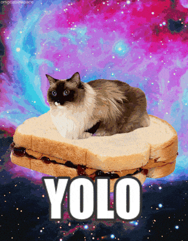peanut butter and jelly gif