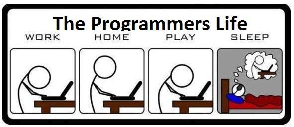 Coder vs. programmer the programmer's life