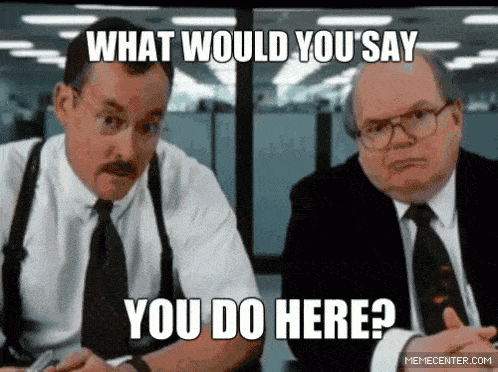 programmer vs developer: What does a developer do?