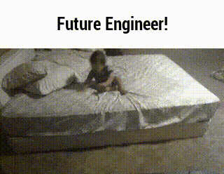 software engineer vs software developer: Future Engineer