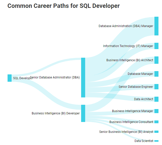 SQL developer salary career paths