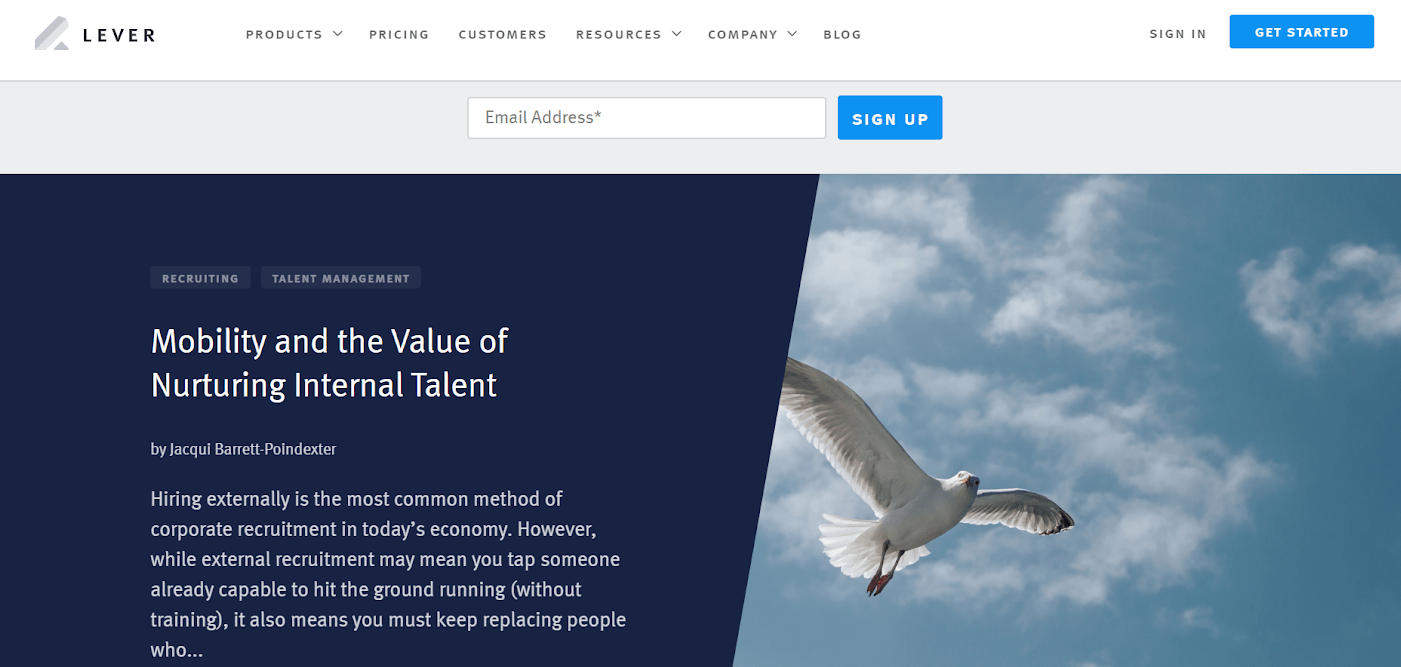 Recruitment blogs to follow Lever Blog