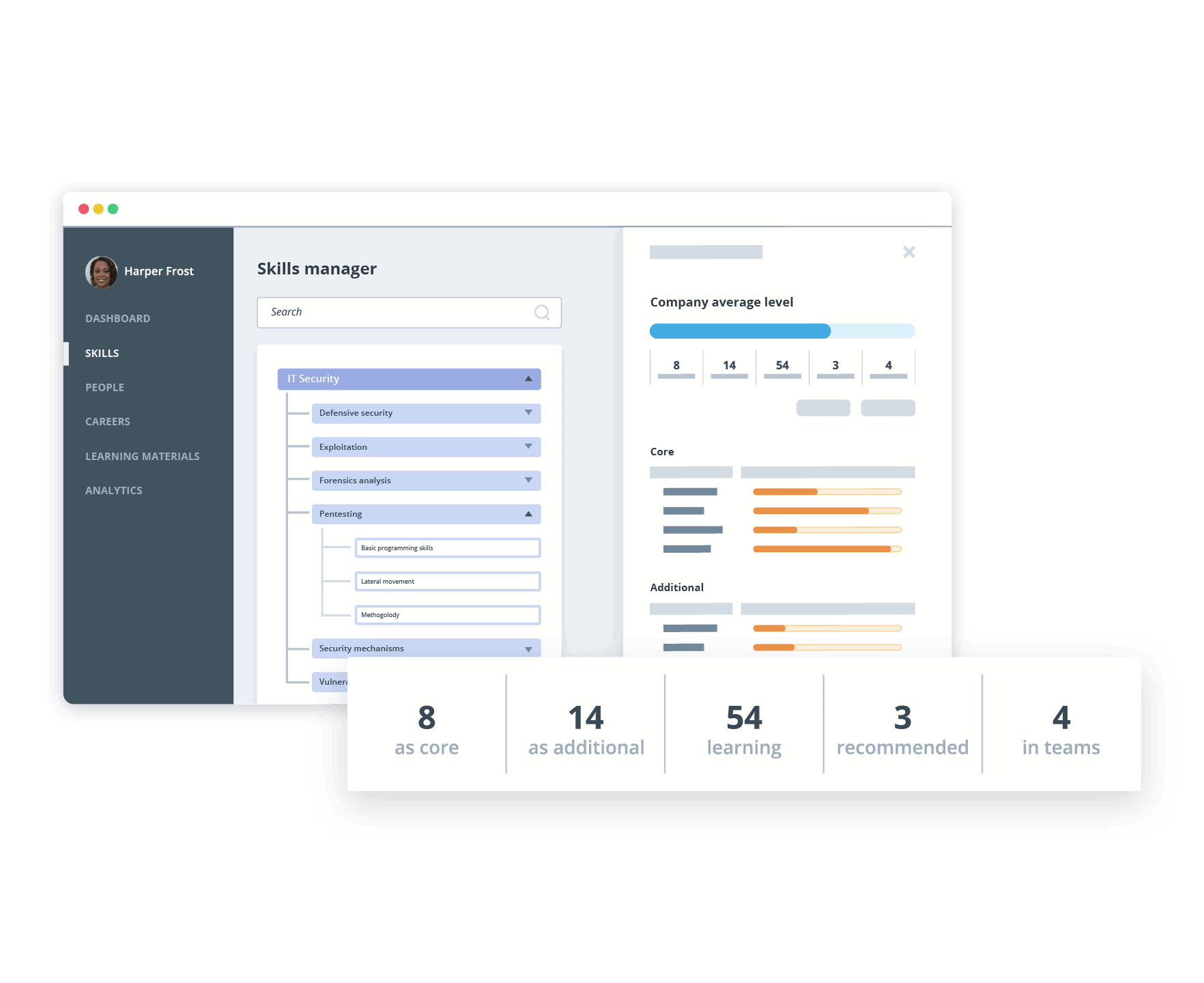 Career paths: Skills manager